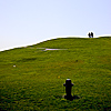 Silhouettes on a Hill